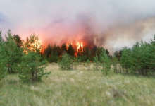 Дым от лесных пожаров дошел до Челябинской области